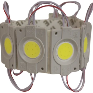 Hazar Led 12 Volt 2.4 Watt Tekli Su Geçirmez Modül Led Beyaz (10 Adet)