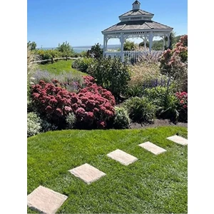 Trend Bahçe Dekoratif Basamak Taşları - Dış Mekan Yolu Pvc 4 Adet Krem Renk