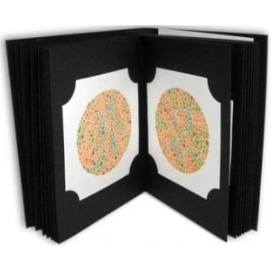 Renk Körlüğü Testi