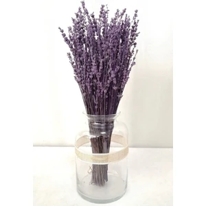Evdeki Atölyem Şoklanmış Dökülmeyen Lavanta Buketi