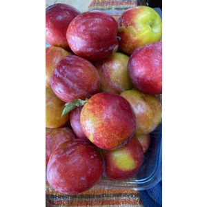 Hatay  Kırmızı Can Eriği (2 Kg.)