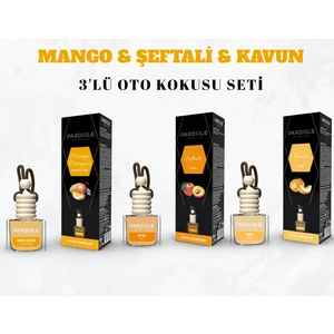 Araç Kokusu Oto Parfümü 3'lü Set - Mango, Kavun Şeftali -8 ml