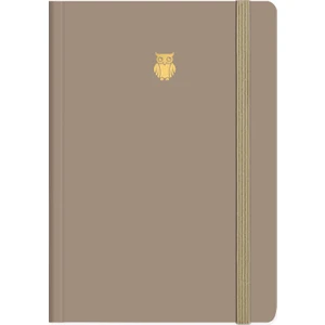 Le Color Minimal Defter Çizgili Vizon 17X24CM