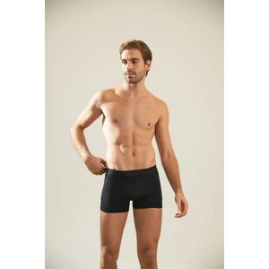 Erkek Modal Boxer