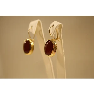 Yenigün Kuyumculuk 14 Ayar Altın Kadın Oval Akik Taşlı Küpe