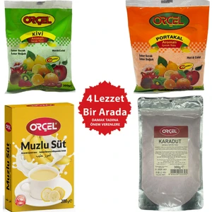 Karadut 300gr +Portakal 300gr.+ Kivi 300gr + Muzlu Süt 200gr Aromalı Içecek Tozu Oralet Çay Set