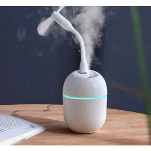 Fanlı Hava  Nemlendirici fan hediyeli , Serinletici , Kokudagıtıcı, Hava Yumuşatıcı 250 ml Usbli H2O