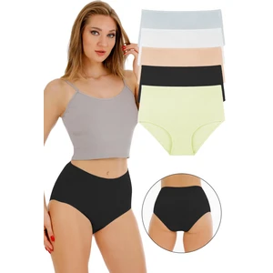 Kadın Fitilli Yüksek Bel 5'li Külot Set - KTS3095-5