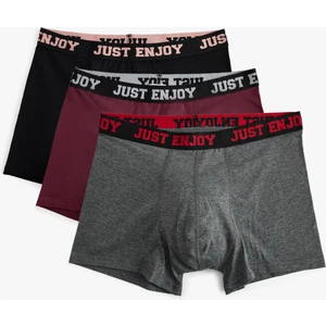 3'lü Boxer Seti Slogan Baskılı Çok Renkli Pamuklu