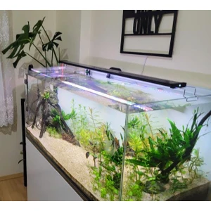 Aqualed Meta Plus 4 Sıra 4 Renk