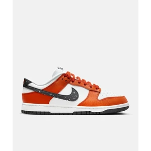 Nıke Dunk Low Erkek Ayakkabı Fv6909-800