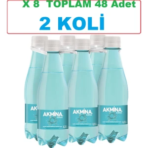 Maden Suyu Pet Şişe 48X250 ml - 2 Koli