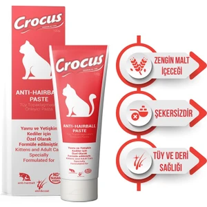 Anti Hairball Kedi Malt Macunu 100 Gram