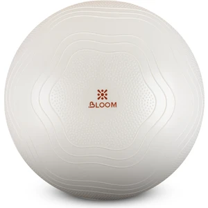 LB7051 65 Cm Pilates Topu Beyaz