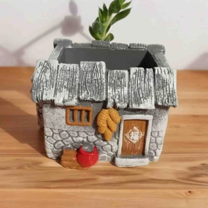 Köy Evi Kalemlik Saksılık