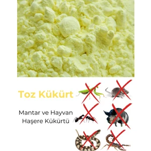 Tohum Altın Kükürt Toz Kükürt Mantar Haşare Kükürtü 5 kg