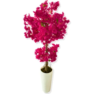 Cihan Çiçekçilik Yapay Ağaç Fuşya Begonvil 190 cm 56X30X20 Beyaz Kumsal Saksı