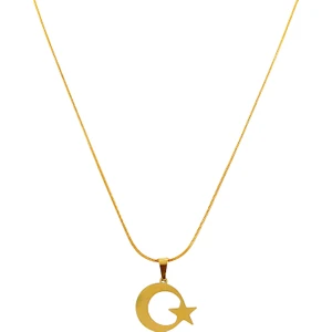ÇLK Accessories Çelik Plaka Ay Yıldız Yılan Zincir Kolye