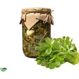 Sizin Bahçe Çiftliği Semizotu Turşusu 650 Ml.