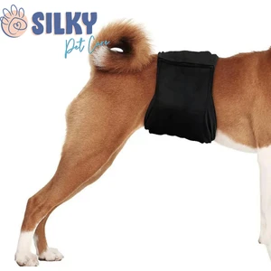 - Erkek Köpek Çiş Bezi / Yıkanabilir