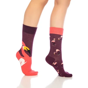 Unisex Bordo Flamingo Renkli Çorap