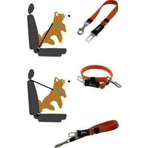 MgTasma Evcil Hayvan Araç Emniyet Kemeri Kedi Köpek Araba Oto Tasması Kedi Köpek Emniyet Kemeri Turuncu