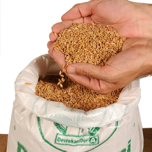 Devrekani Deva Kastamonu Kavılca (Garıklı) Buğdayı Taneli 25 kg