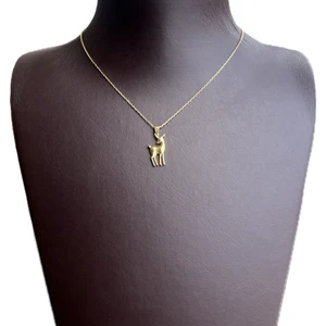 Ashak Accessories Kadın Ceylan Model 925 Ayar Gümüş Zincirli Kolye