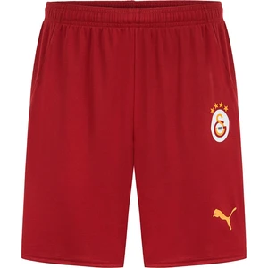 Galatasaray Gsk Home Shorts Wo S 24/25 Erkek Şort