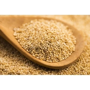 Lokman Aktar Haşhaş Beyaz Özel 250 Gram