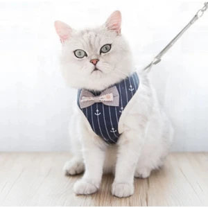 Kedi Göğüs Tasması 10 mm x 1200 mm Lacivert