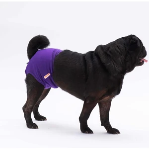 Mor Kedi-Köpek Çamaşırı Regl Kilodu