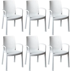 Netaks Efes (Rattan) Sandalye %100 Orjinal 6'lı Takım