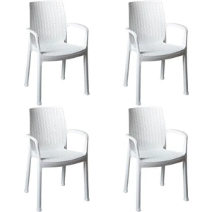Netaks Efes (Rattan) Sandalye %100 Orjinal 4'lü Takım