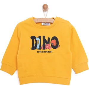 Basic Az Şardonlu Dino Baskılı Sweatshirt Erkek Bebek