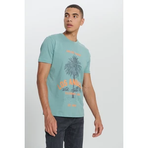 Altınyıldız Classics Erkek MINT YESIL Standart Fit Normal Kesim %100 Pamuk Bisiklet Yaka Tişört