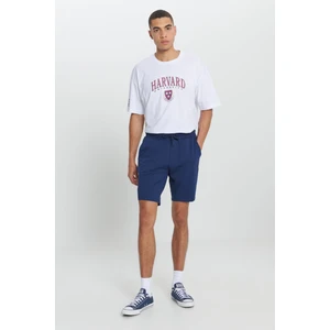 AC&Co / Altınyıldız Classics Unisex Indigo Standart Fit Normal Kesim Pamuklu Cepli Esnek Örme Şort