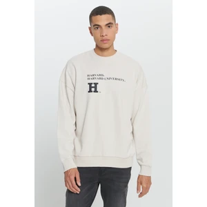 Altınyıldız Classics Harvard Lisanslı 3 İplik Pamuklu Oversize Fit Bol Kesim Erkek Açık Bej Bisiklet Yaka Sweatshirt