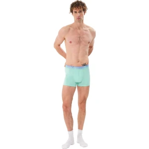 3'lü Erkek Pamuklu Boxer - Xpack 5
