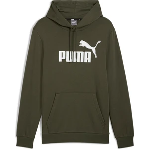 Ess Big Logo Hoodie