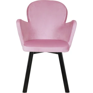 Siyah Metal Ayaklı Salon/mutfak Sandalyesi Kollukelebek (Babyface) Siyah Ayak