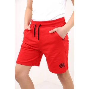 Toontoy Kids Toontoy Erkek Çocuk 01 Nakışlı Şort