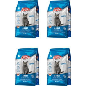 Somonlu Yetişkin Kedi Maması 500 G - 4 Adet
