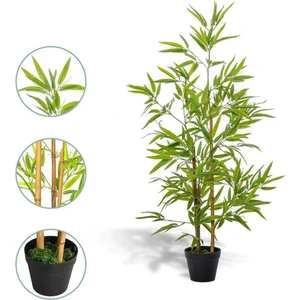 Murattohum Saksılık Siyah Bambu Ağacı Tohumu 3 Lü