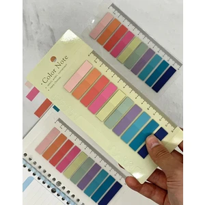 10 Renkli Cetvelli Pembe ve Mavi Tonları Şeffaf Pet İndeks / Index Sticker / Postit / Post-it