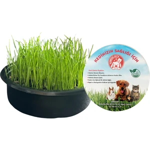 Sonrisa Pets Organik Kedi Çimi (FİLELİ)