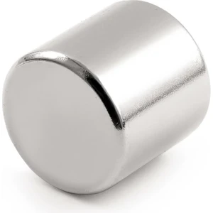 Neodyum Mıknatıs Magnet Silindir 20X20 mm ( 2 cm Çap - 2 cm Kalınlık )