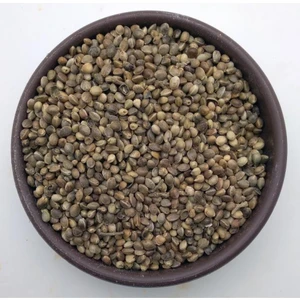 Esin Tohum Kendir Tohumu Çedene 1 kg