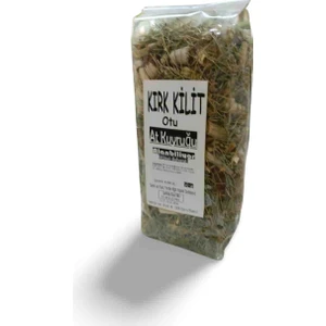Kırk Kilit Otu At Kuyruğu