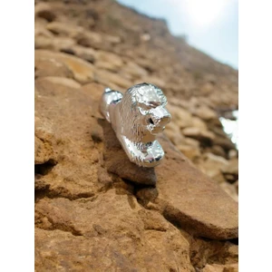 Ön Çamurluk Süs Aslan Nikel